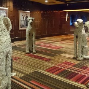 Meet your Posher, Edson